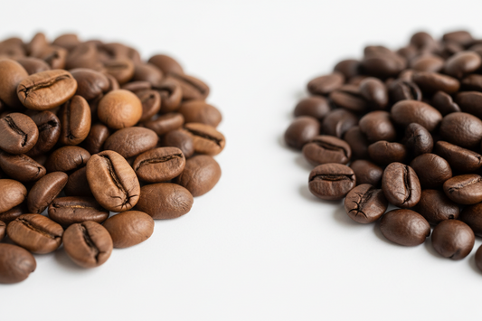 Arabica vs Robusta: Flavor and Coffee Experience
